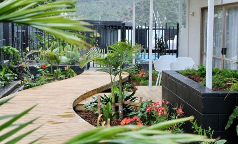 Resized Images for web